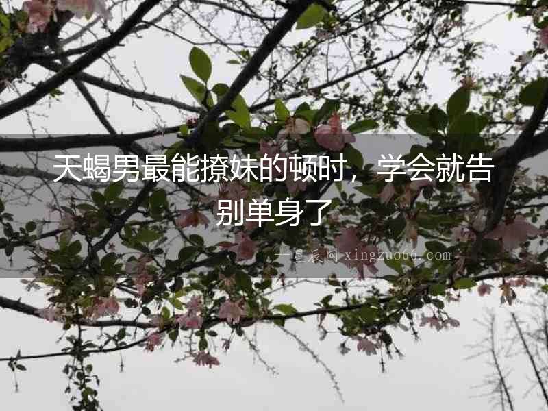 天蝎男最能撩妹的頓時，學會就告別單身了