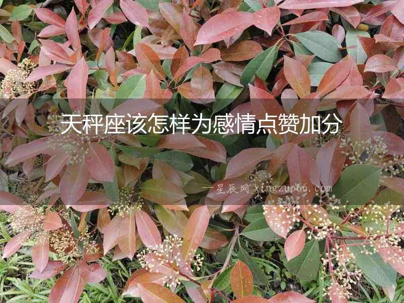 天秤座該怎樣為感情點贊加分