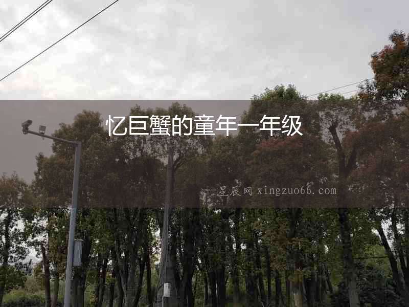 憶巨蟹的童年一年級