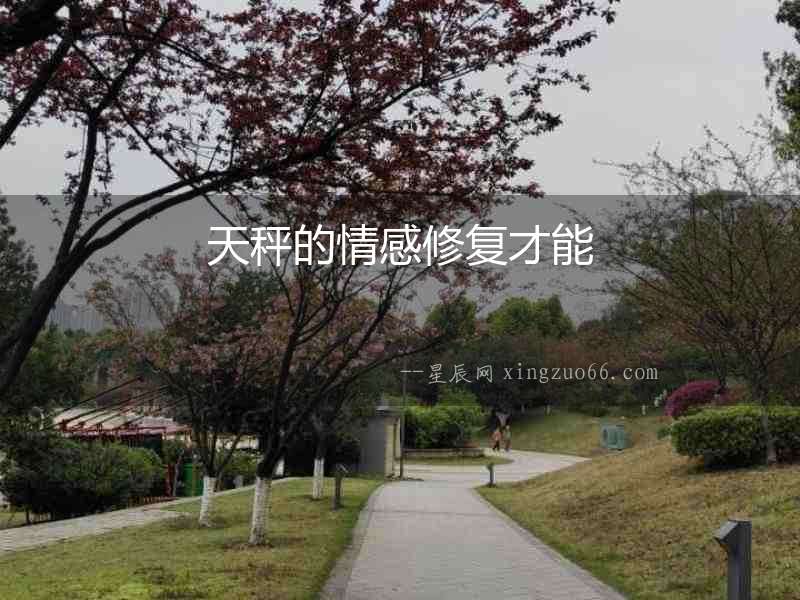 天秤的情感修復才能