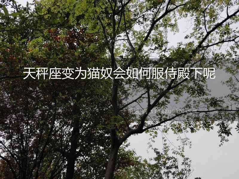 天秤座變為貓奴會如何服侍殿下呢
