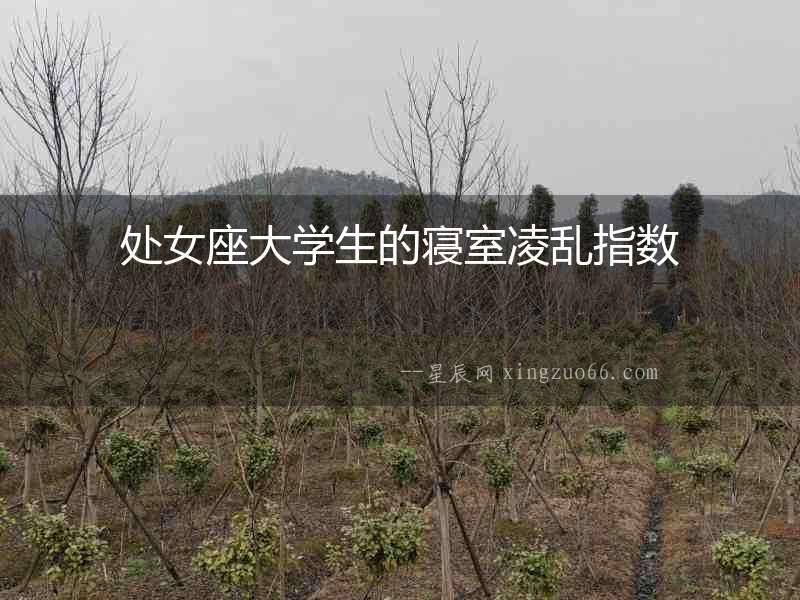 處女座大學生的寢室凌亂指數