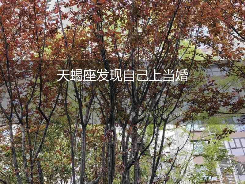 天蝎座發現自己上當婚