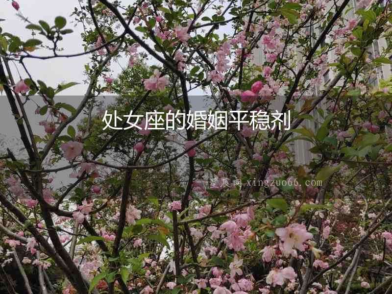 處女座的婚姻平穩(wěn)劑
