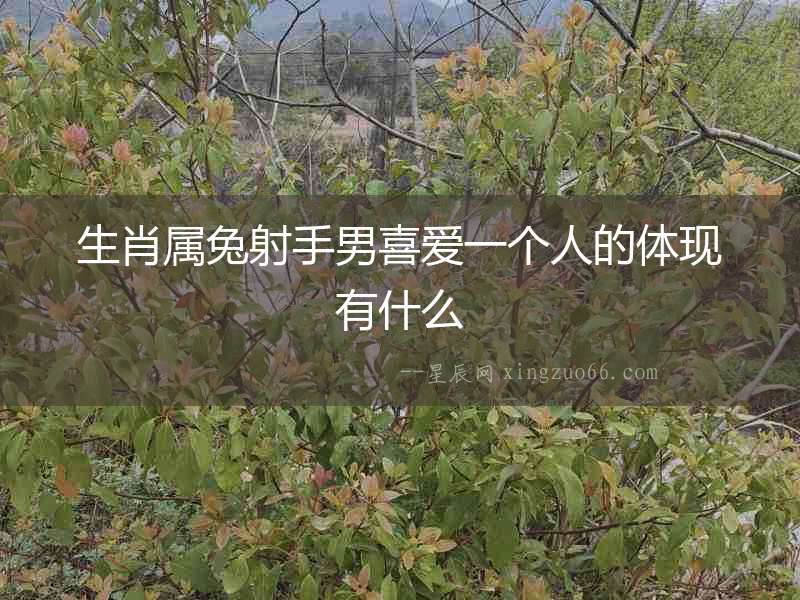生肖屬兔射手男喜愛一個(gè)人的體現(xiàn)有什么