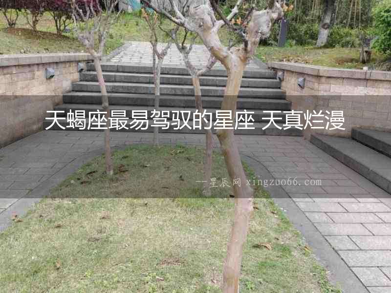 天蝎座最易駕馭的星座 天真爛漫