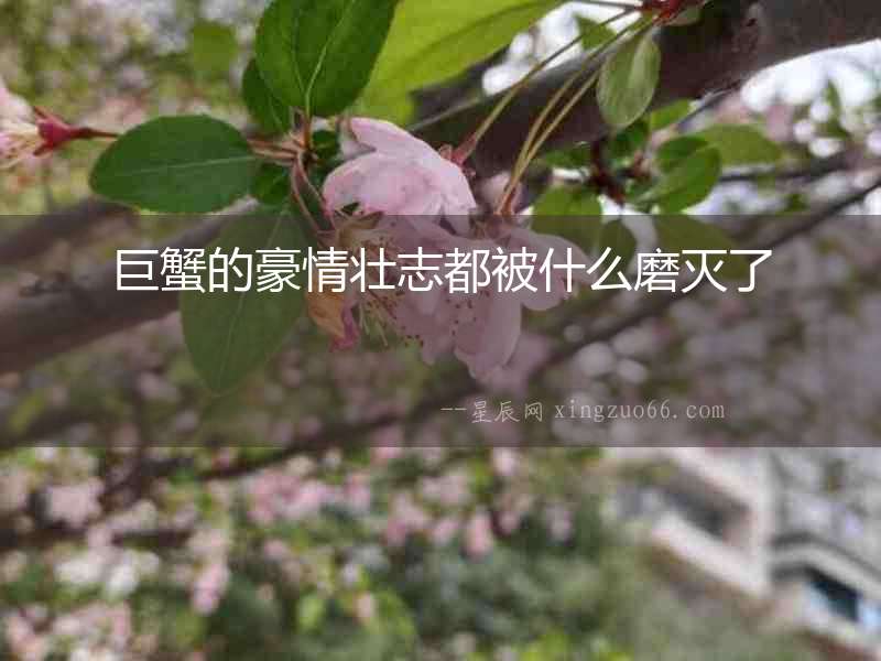 巨蟹的豪情壯志都被什么磨滅了