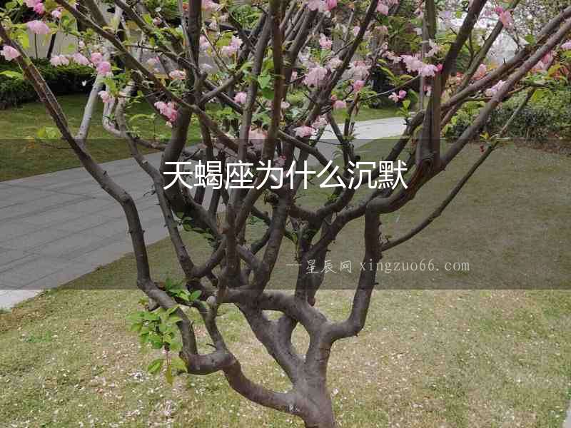 天蝎座為什么沉默