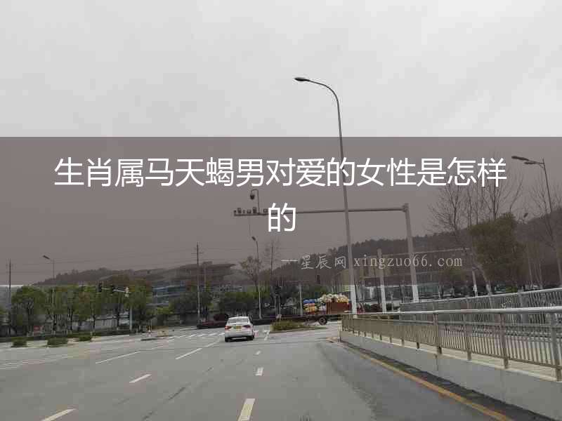 生肖屬馬天蝎男對愛的女性是怎樣的
