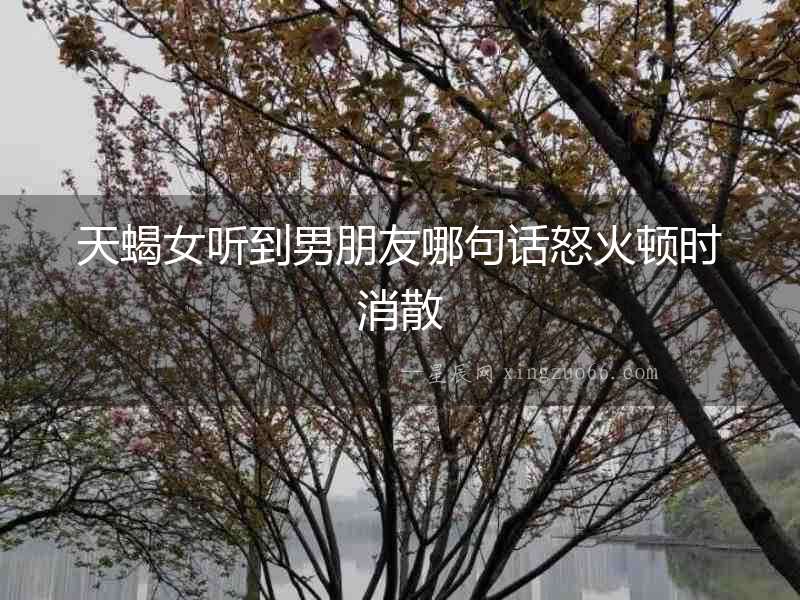 天蝎女聽到男朋友哪句話怒火頓時消散