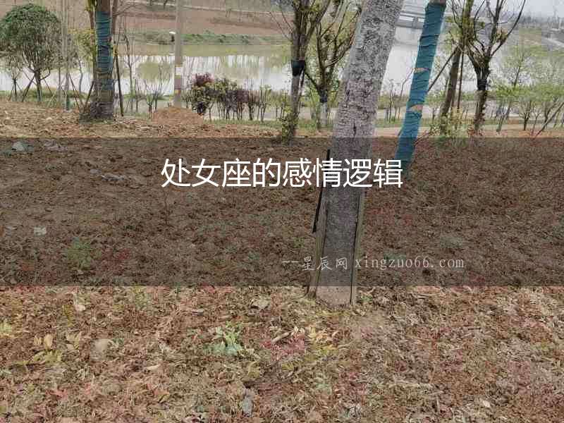 處女座的感情邏輯