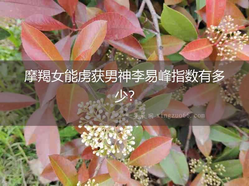 摩羯女能虜獲男神李易峰指數有多少？
