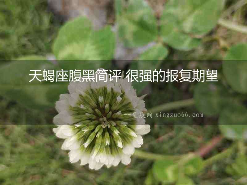 天蝎座腹黑簡評(píng) 很強(qiáng)的報(bào)復(fù)期望