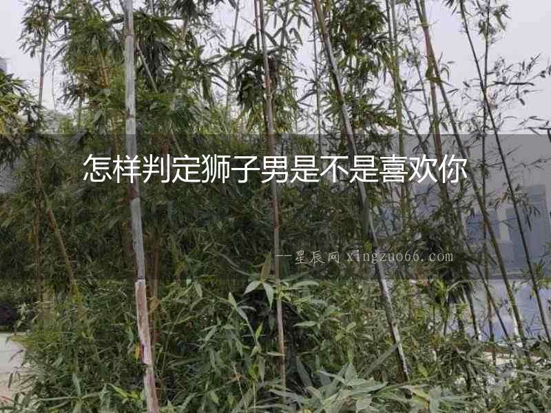 怎樣判定獅子男是不是喜歡你