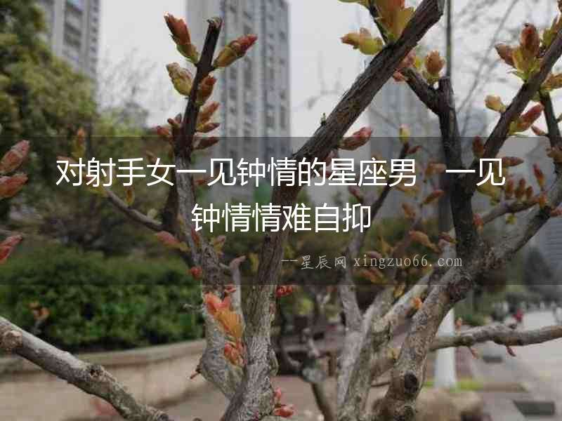 對(duì)射手女一見(jiàn)鐘情的星座男   一見(jiàn)鐘情情難自抑