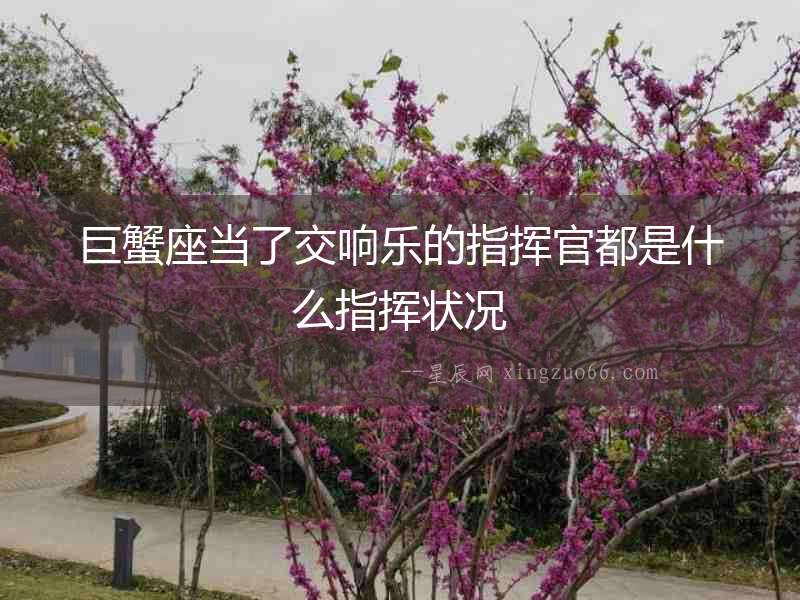 巨蟹座當(dāng)了交響樂的指揮官都是什么指揮狀況