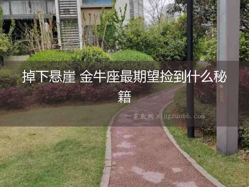 掉下懸崖 金牛座最期望撿到什么秘籍