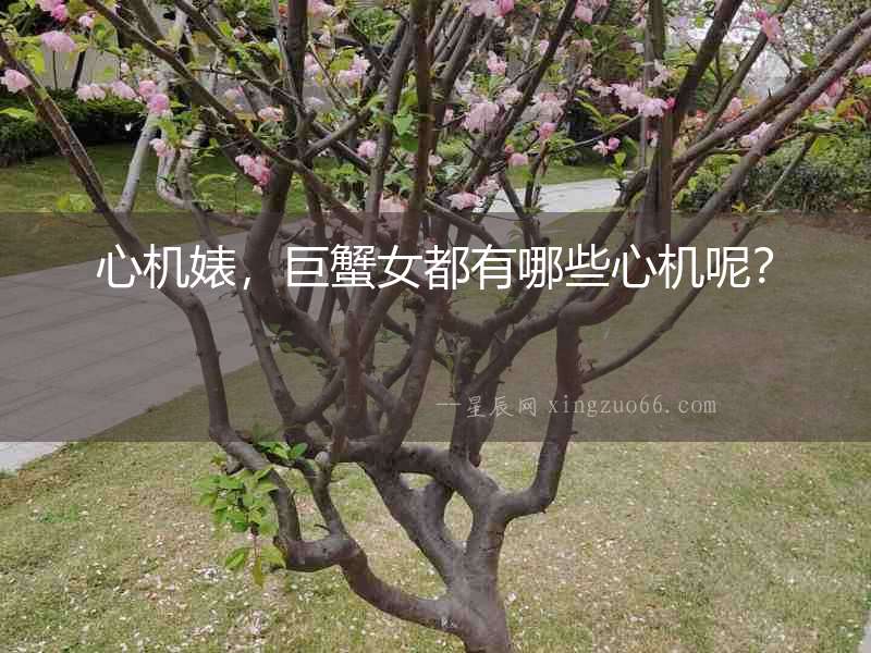 心機婊，巨蟹女都有哪些心機呢？