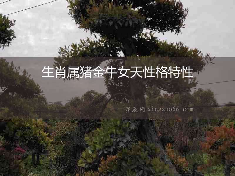 生肖屬豬金牛女天性格特性