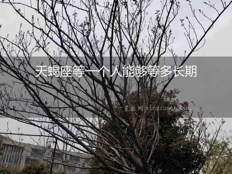 天蝎座等一個人能夠等多長期