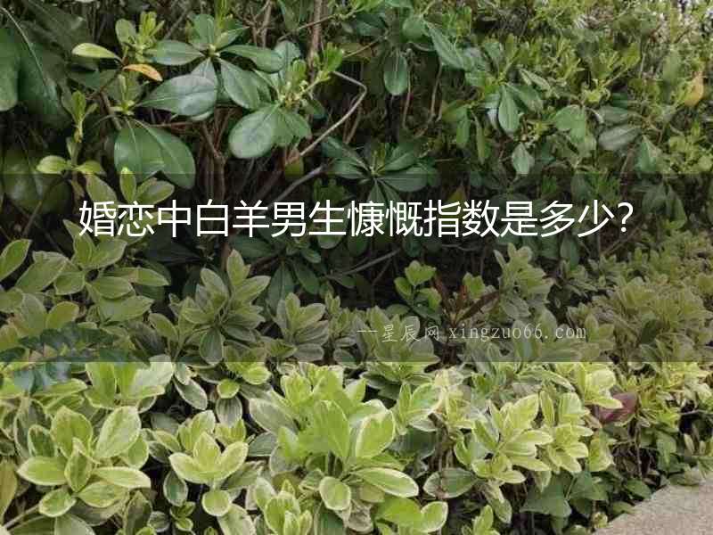 婚戀中白羊男生慷慨指數是多少？