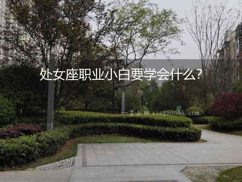 處女座職業(yè)小白要學(xué)會(huì)什么？