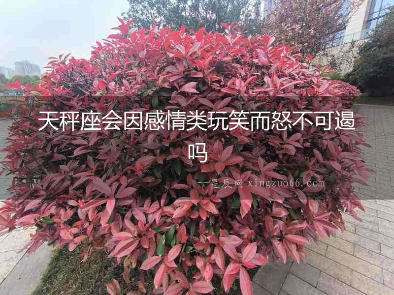 天秤座會因感情類玩笑而怒不可遏嗎