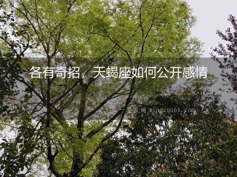 各有奇招，天蝎座如何公開感情