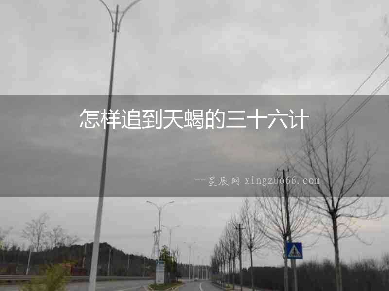 怎樣追到天蝎的三十六計