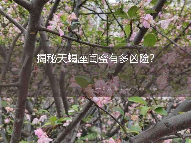 揭秘天蝎座閨蜜有多兇險？
