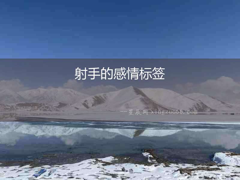 射手的感情標(biāo)簽　