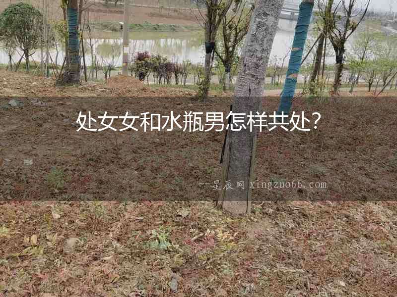 處女女和水瓶男怎樣共處？