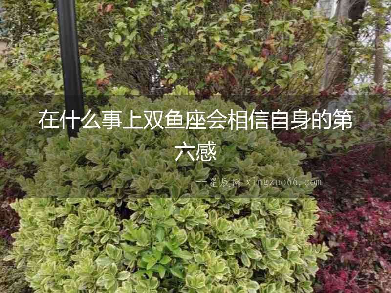 在什么事上雙魚座會相信自身的第六感
