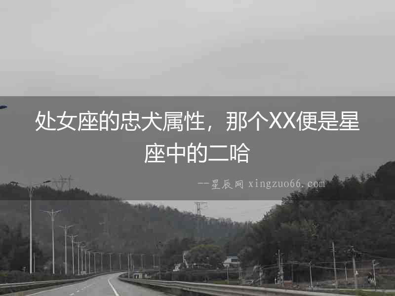 處女座的忠犬屬性，那個XX便是星座中的二哈