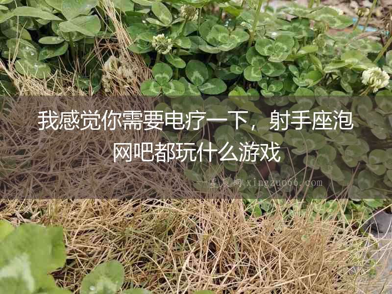 我感覺你需要電療一下，射手座泡網吧都玩什么游戲