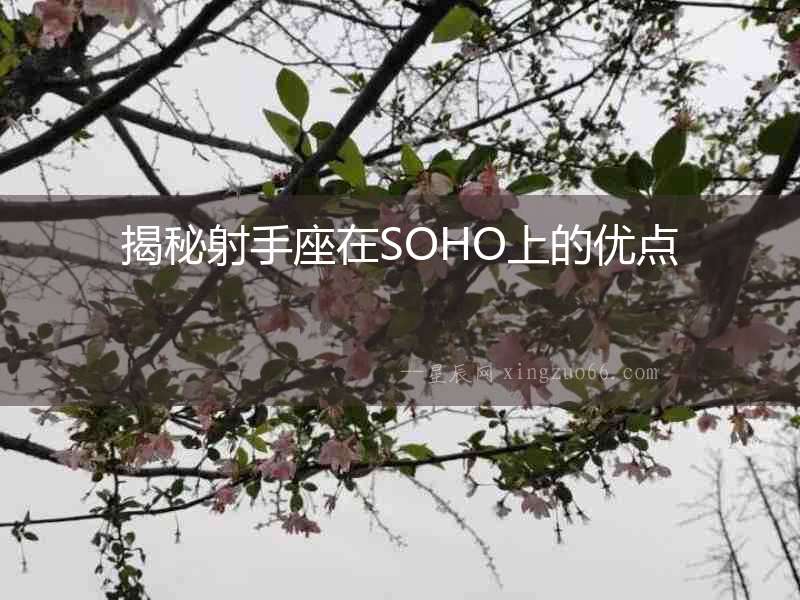 揭秘射手座在SOHO上的優點