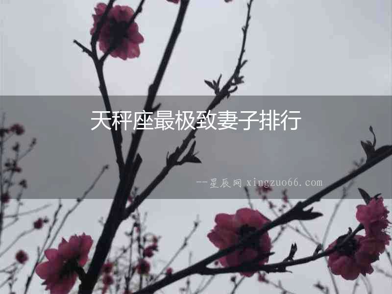 天秤座最極致妻子排行