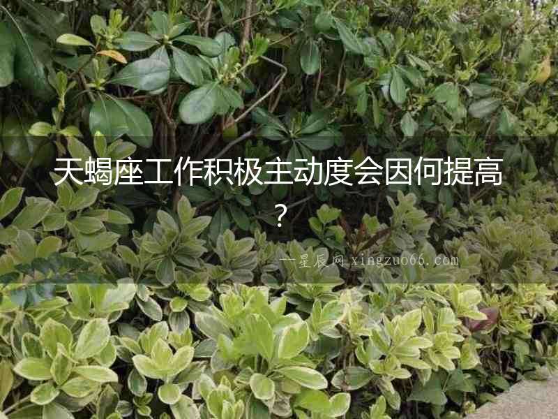 天蝎座工作積極主動度會因何提高？