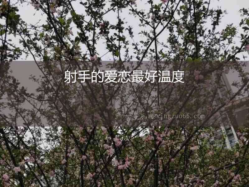 射手的愛戀最好溫度