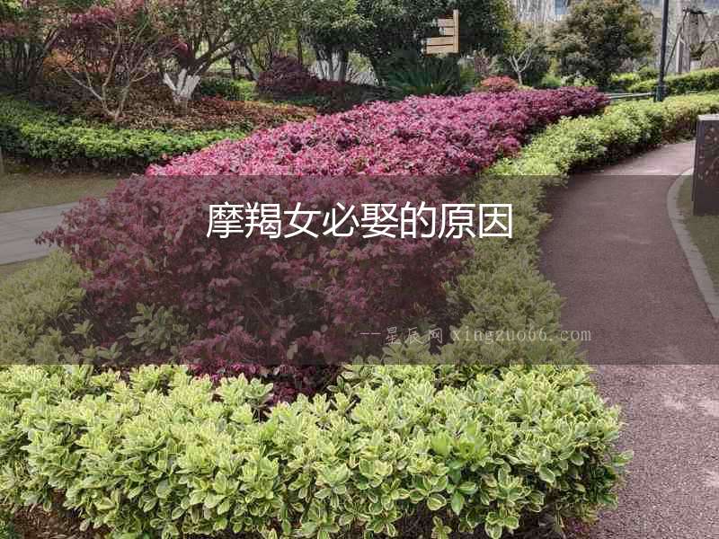 摩羯女必娶的原因