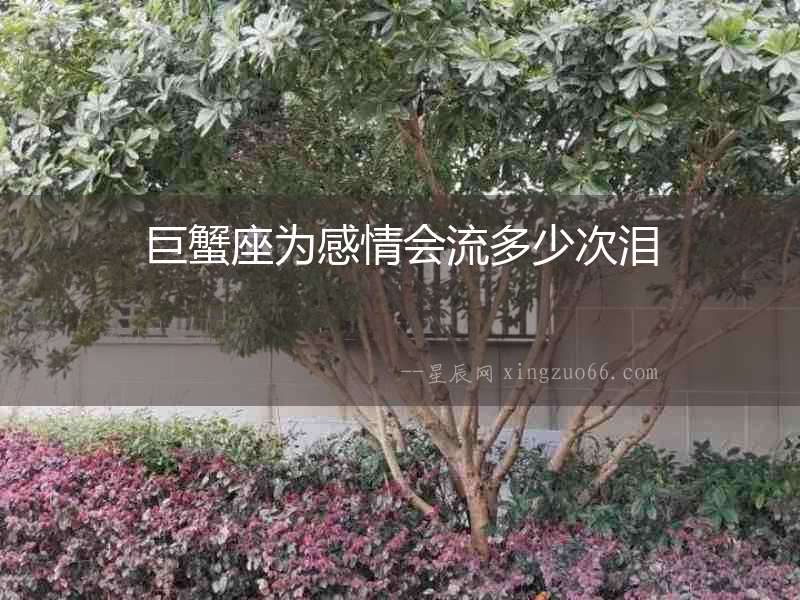 巨蟹座為感情會流多少次淚