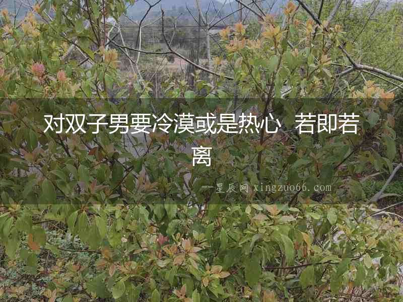 對雙子男要冷漠或是熱心  若即若離