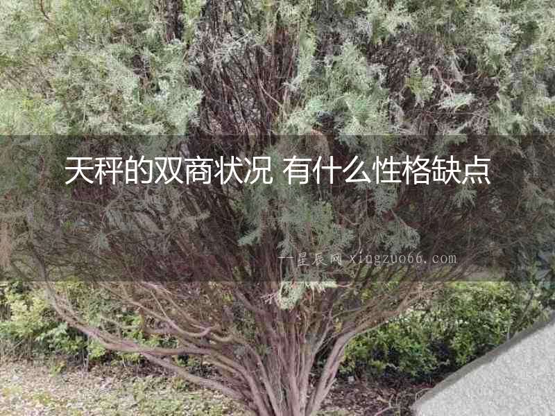 天秤的雙商狀況 有什么性格缺點