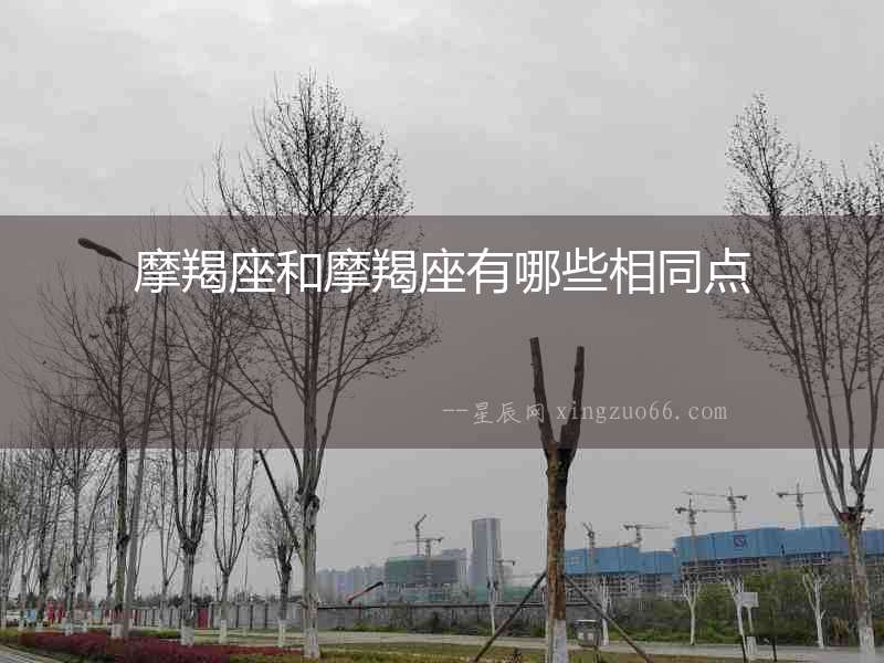 摩羯座和摩羯座有哪些相同點