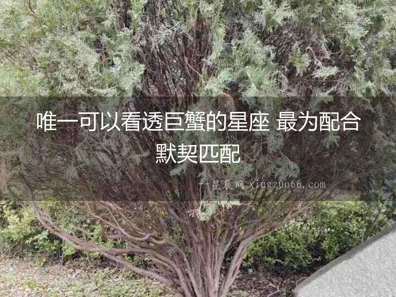 唯一可以看透巨蟹的星座 最為配合默契匹配