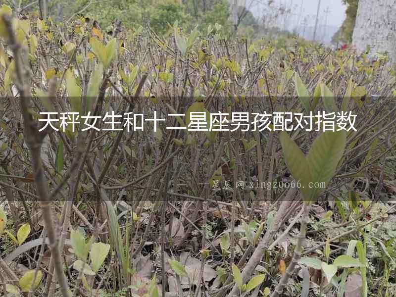 天秤女生和十二星座男孩配對(duì)指數(shù)