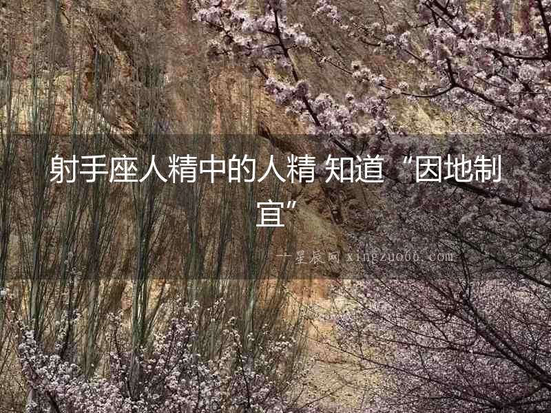 射手座人精中的人精 知道“因地制宜”