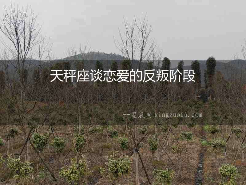 天秤座談戀愛的反叛階段