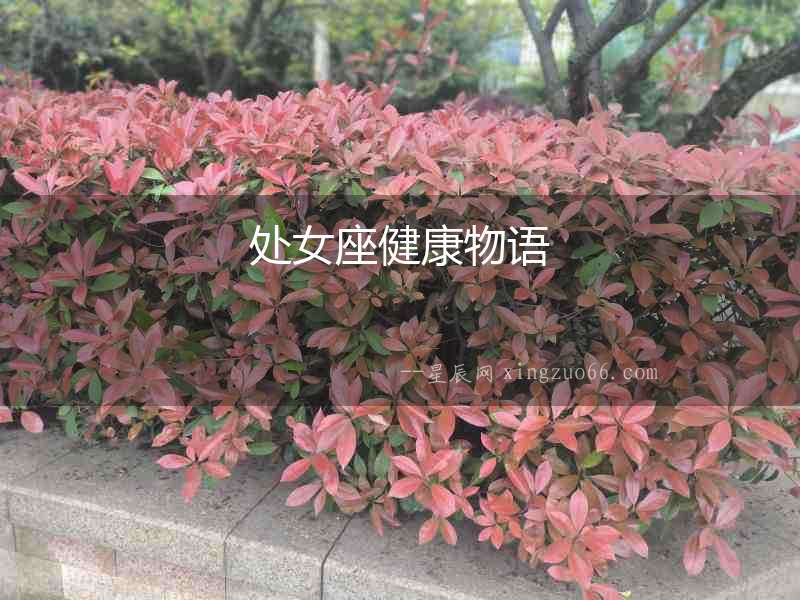 處女座健康物語