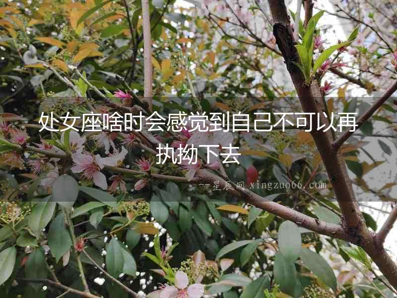 處女座啥時(shí)會感覺到自己不可以再執(zhí)拗下去